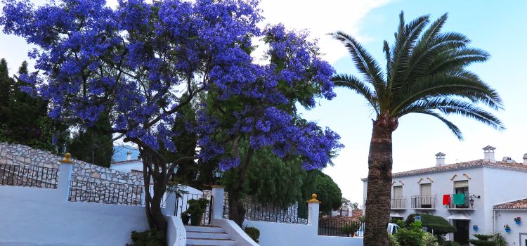 Mijas Tickets Deals Reviews Family Holidays Trip Com