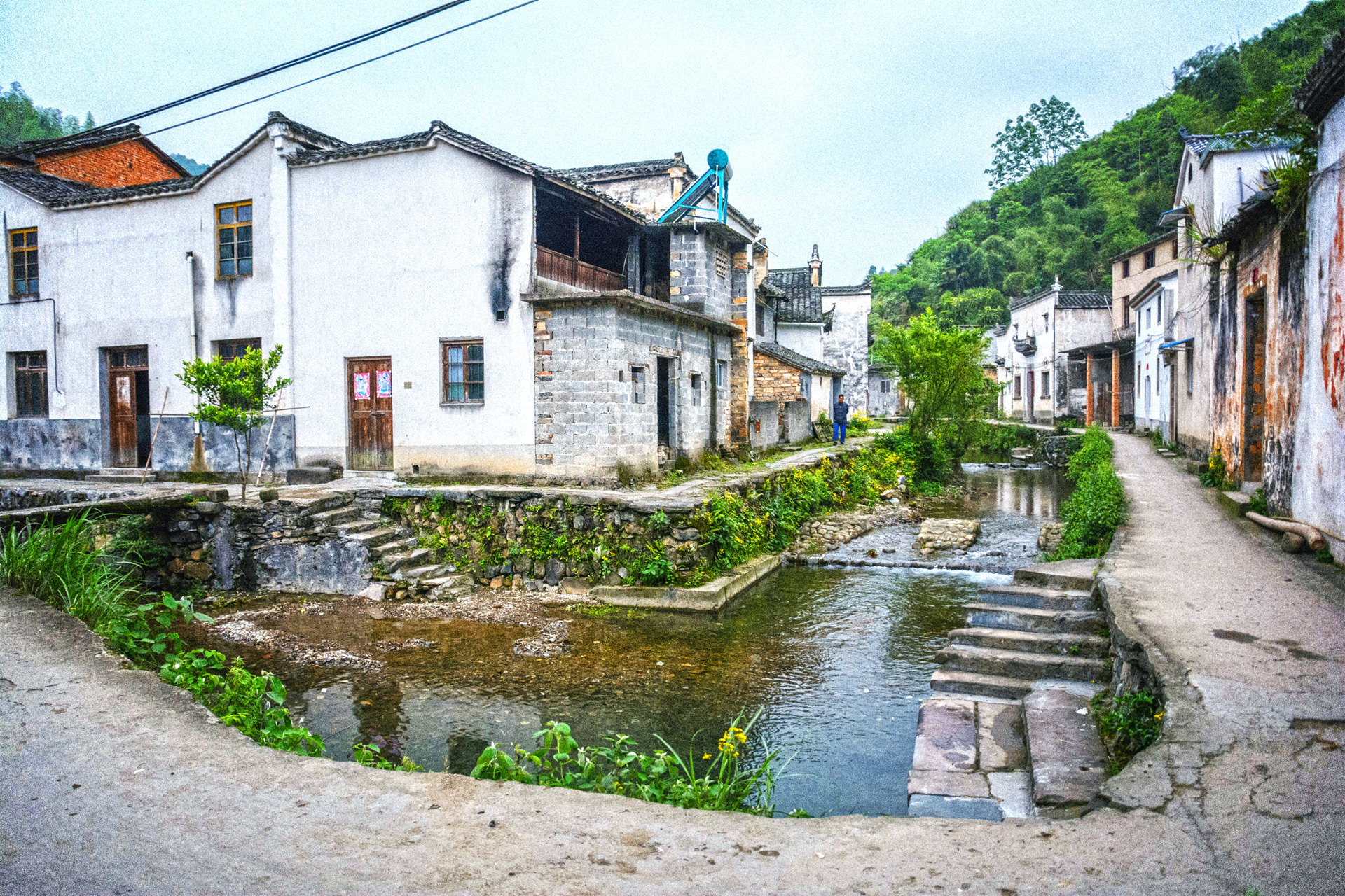 芹川村