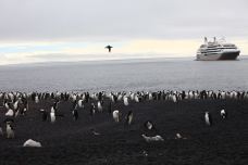 半月岛-南设得兰群岛-克克克里斯