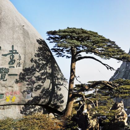 黄山风景区+宏村+婺源篁岭5日4晚跟团游