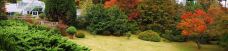 庐山植物园-庐山-doris圈圈