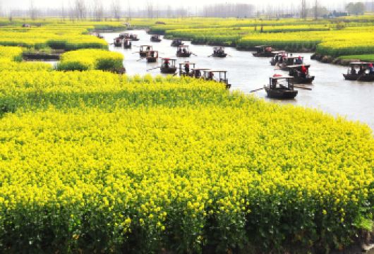 2人起私家团千垛景区李中公园一日游扬州泰州南京镇江上门接送【所选城市市区免费上门接送，方便快捷，省时省力（时间可微调）】
