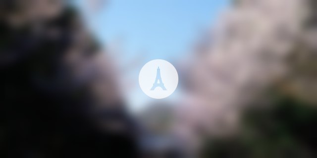 欧美达文书学院的旅游课程