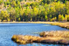 驼峰岭天池-扎兰屯-doris圈圈