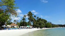 查汶海滩-苏梅岛-小肥杨