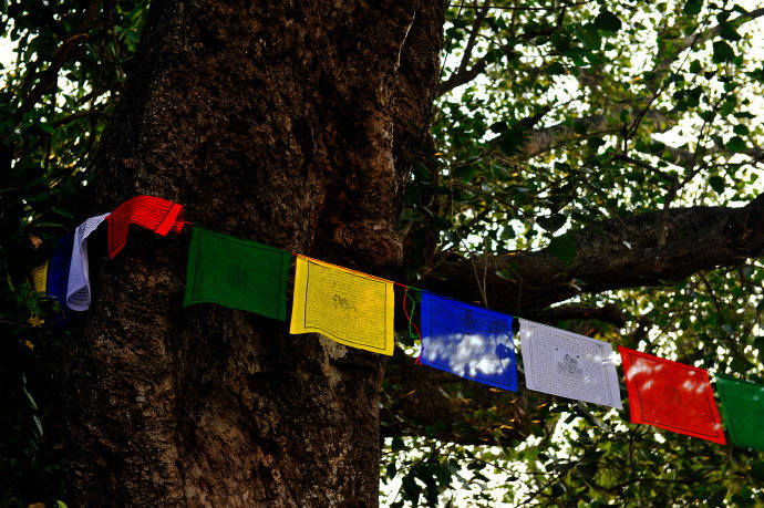 蓝毗尼园（The Park of Lumbini）,全称 “蓝毗尼佛祖诞生遗迹公园”。 于1896年