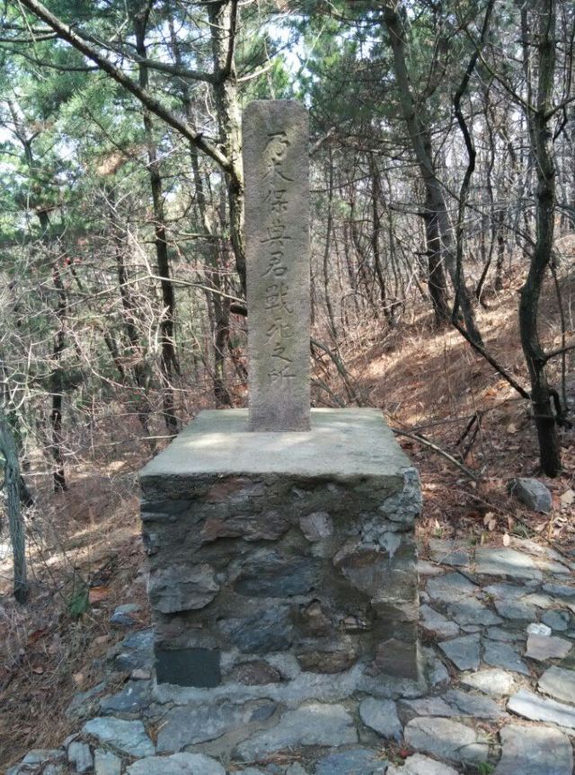 203고지
