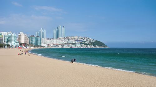 Busan Attractions Photo Gallery