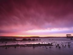 大漠孤烟，额济纳经典2日游