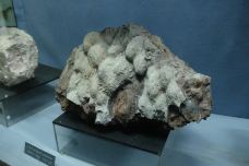 江阴市博物馆-江阴-走走-74511940