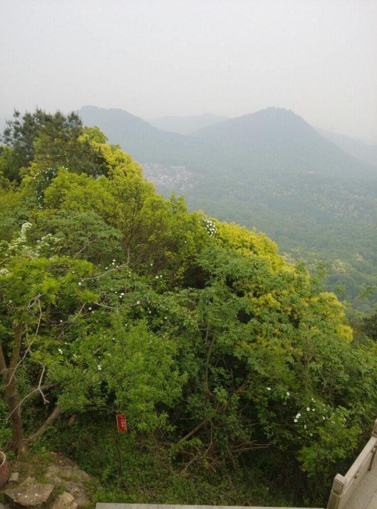 杭州虎跑山