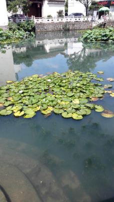 荻浦村-桐庐-_CFT01****2644556