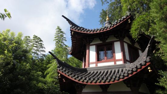 Sheshan National Forest Park