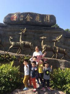 金鹿园-湛江-花香醉梦