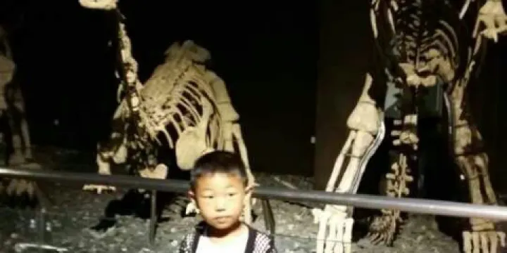 諸城市恐龍公園