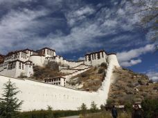 布达拉宫白宫-拉萨-蔷薇