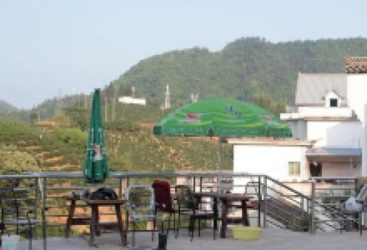丰乐湖农庄(土菜馆)美食图片