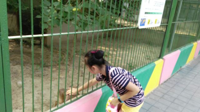 Beijing Zoo