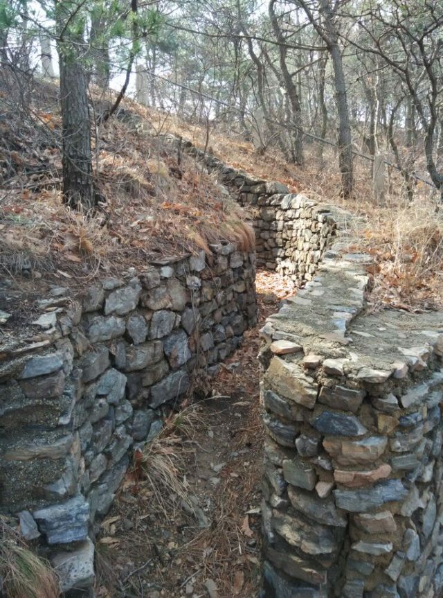 203고지