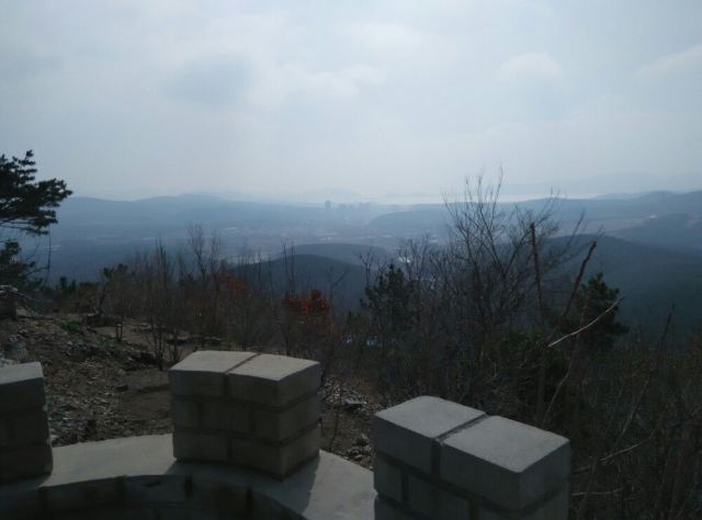 203고지