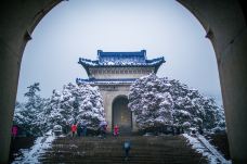 中山陵景区-南京-doris圈圈