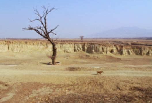 阳原旅游图片-阳原历史人文休闲1日游
