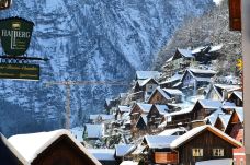 哈尔施塔特湖-哈尔施塔特-尊敬的会员