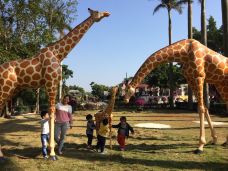 金鹿园-湛江-花香醉梦