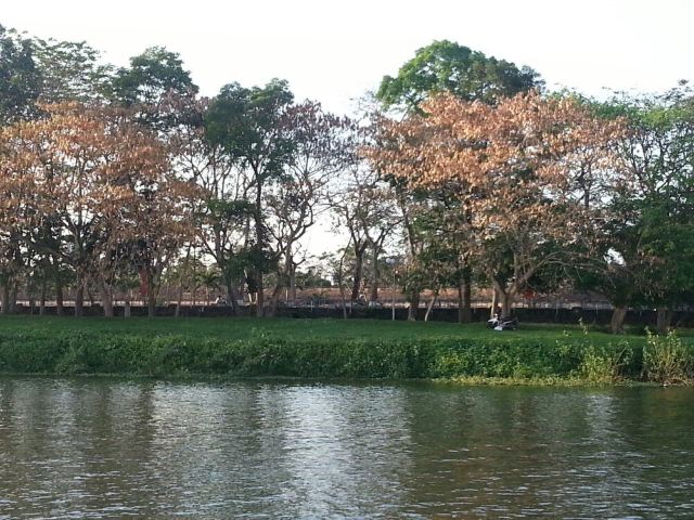 Thành Phố Huế