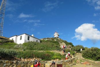 南非+开普敦+Clifton Beach+查普曼公路+豪特湾【服务时间：本产品为中文司机专车出行，服务时长为10小时，包括往返接送、景点参观及用餐时间；】