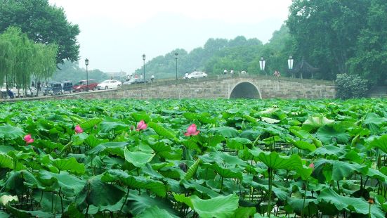 西泠橋