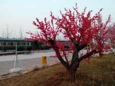 九龙峪-青州-YoYo_6K8I8P6K