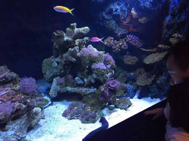 Sea Life Bangkok Ocean World