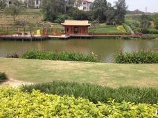 紫帽山省级旅游度假区-晋江-家中有宝