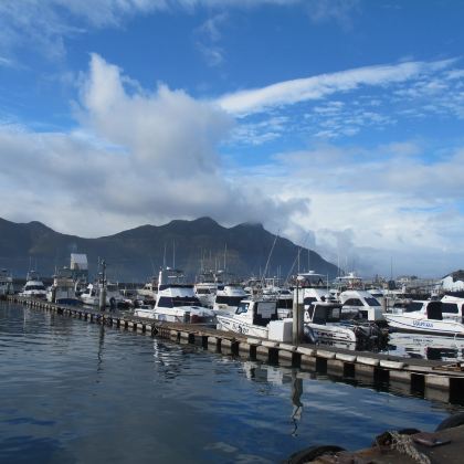 十二门徒峰+查普曼公路+豪特湾+好望角+福尔斯湾一日游