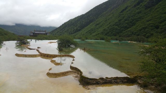 황룡 오채지