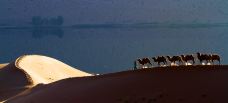 巴丹吉林沙漠-阿拉善右旗-走走-74511940