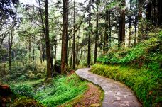 阿里山国家森林游乐区-嘉义县-克克克里斯