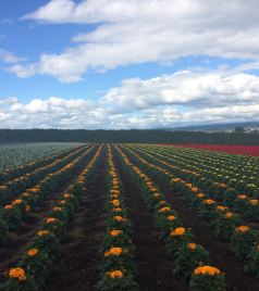 旭川游记图文-去北海道看花，在最美丽的季节 - 旭川动物园