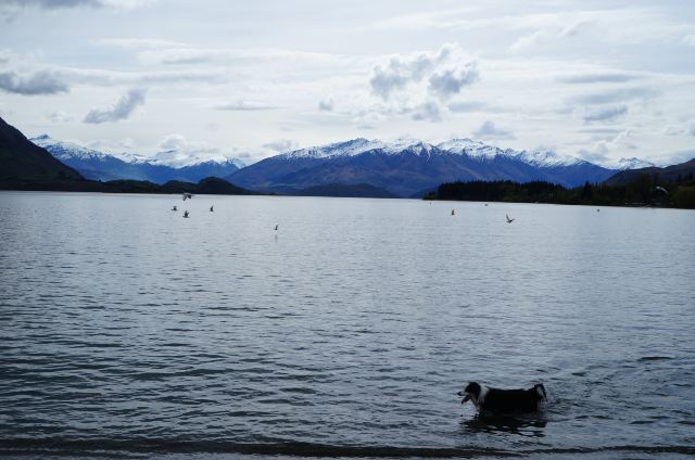 Lake Wanaka