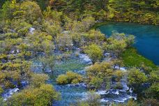 树正群海-九寨沟-尊敬的会员