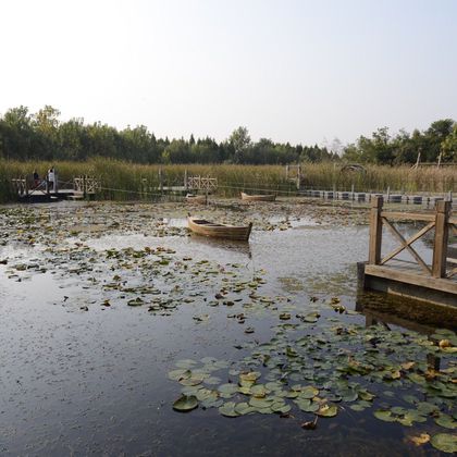 泰州溱湖国家湿地公园一日游