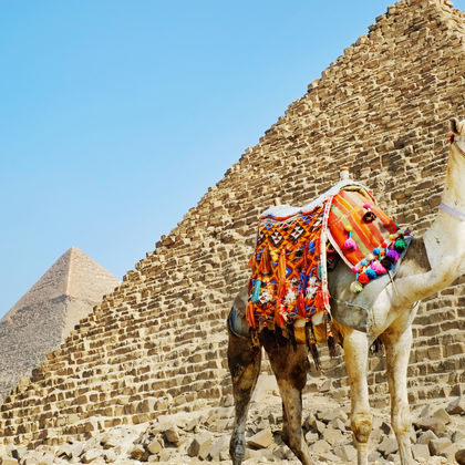 吉萨金字塔群+埃及博物馆+哈利利市场一日游
