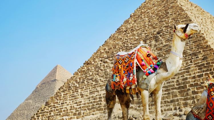 8-Day 8-Day Beaty of the Nile Private Tour