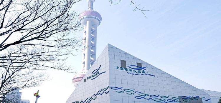 Shanghai Ocean Aquarium Tickets Deals Reviews Family - 