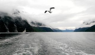 雾罩雨淋过峡湾