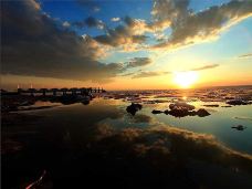乌伦古湖国家湿地公园-福海-AIian