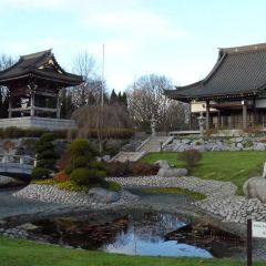 Eko Haus Der Japanischen Kultur E V Travel Guidebook Must Visit