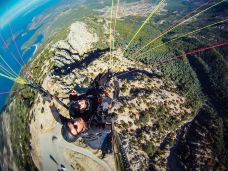 马尔马里斯-马米勒斯-尊敬的会员