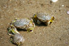 象山石浦檀头山岛-象山-doris圈圈